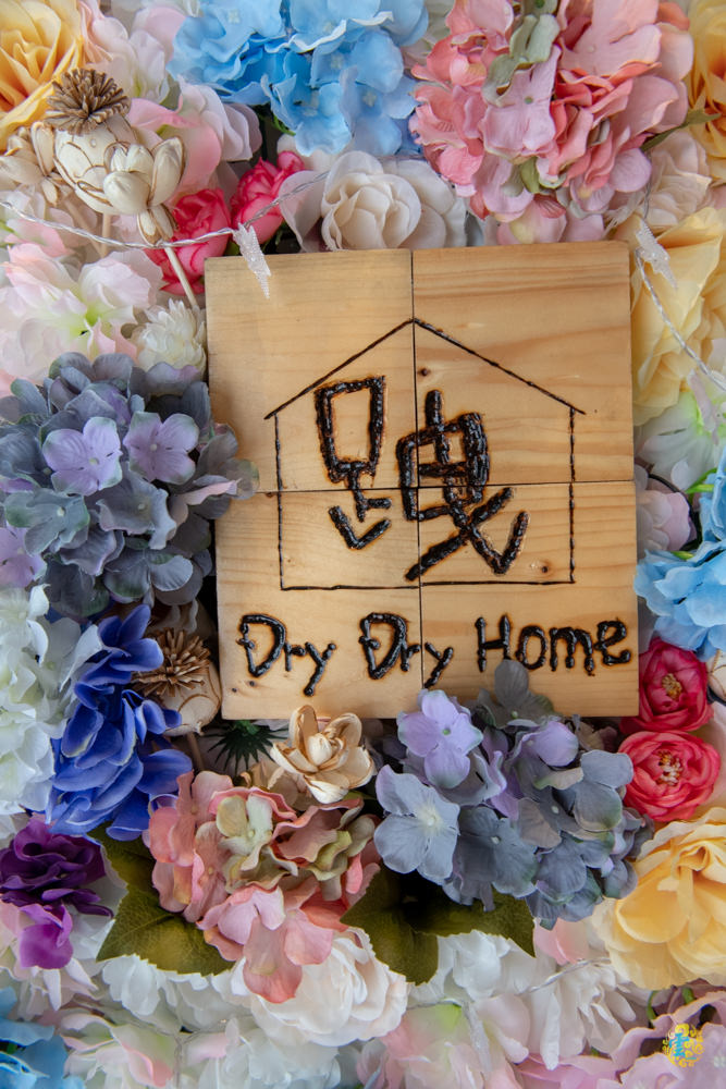 三重日式燒肉飯推薦》DryDry Home 跩跩的窩 - 輕鬆愜意的花草空間 女孩們超愛的美麗花牆