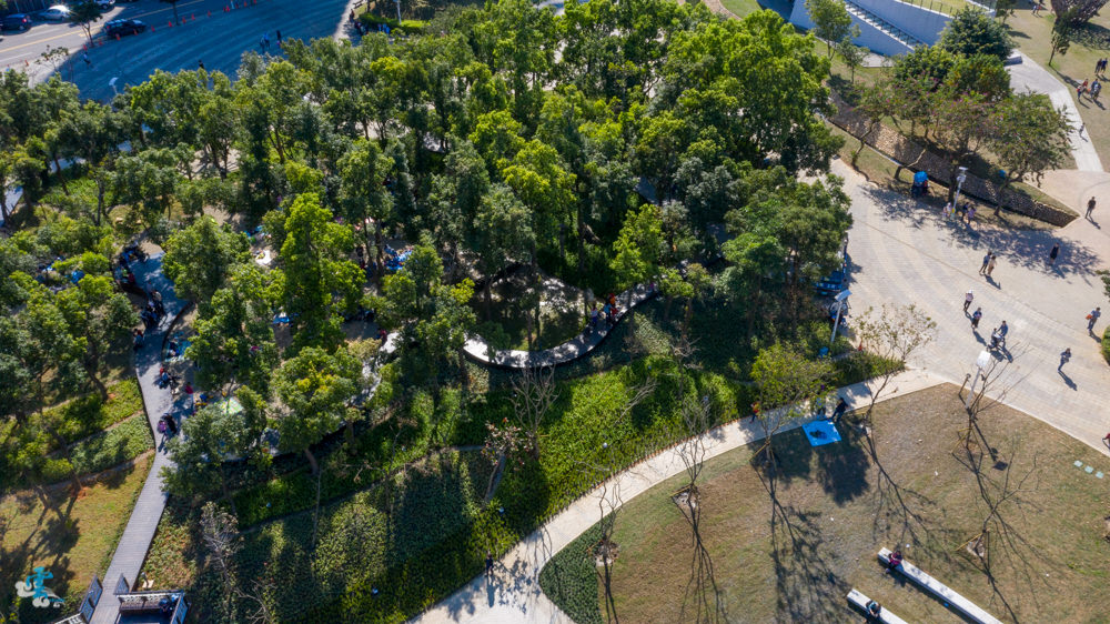 桃園親子景點》風禾公園 - 好玩的溜滑梯主題公園 家庭野餐好去處 附交通與停車資訊