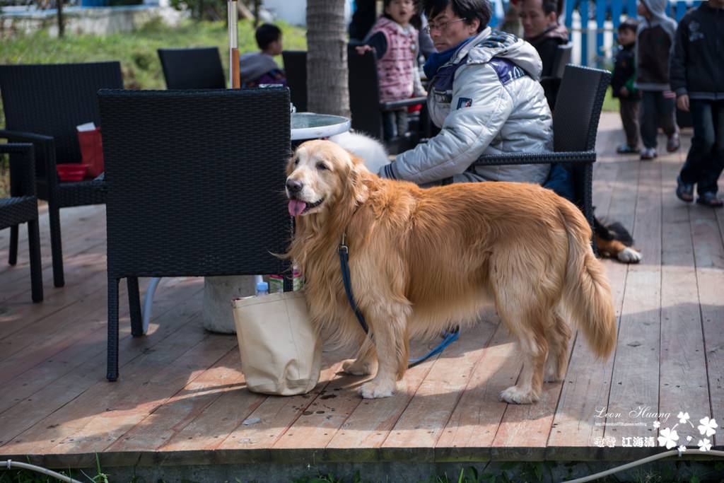 dsc_0415_1-27