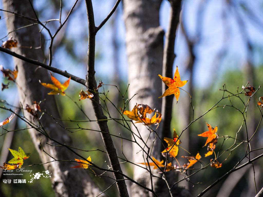 dsc_0415_1-22-2