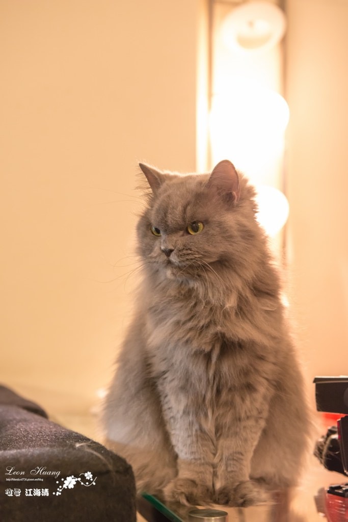 DSC_8276.jpg