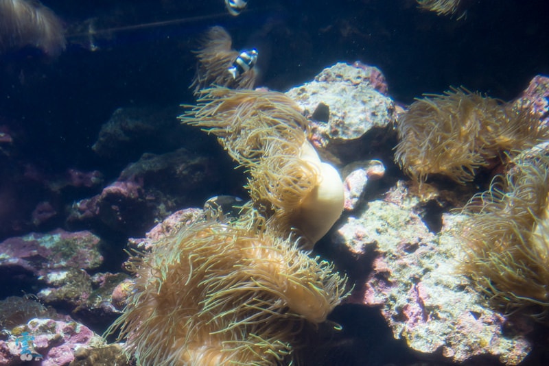DSC_8262.jpg