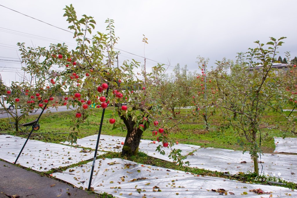 dsc_0415_1-4