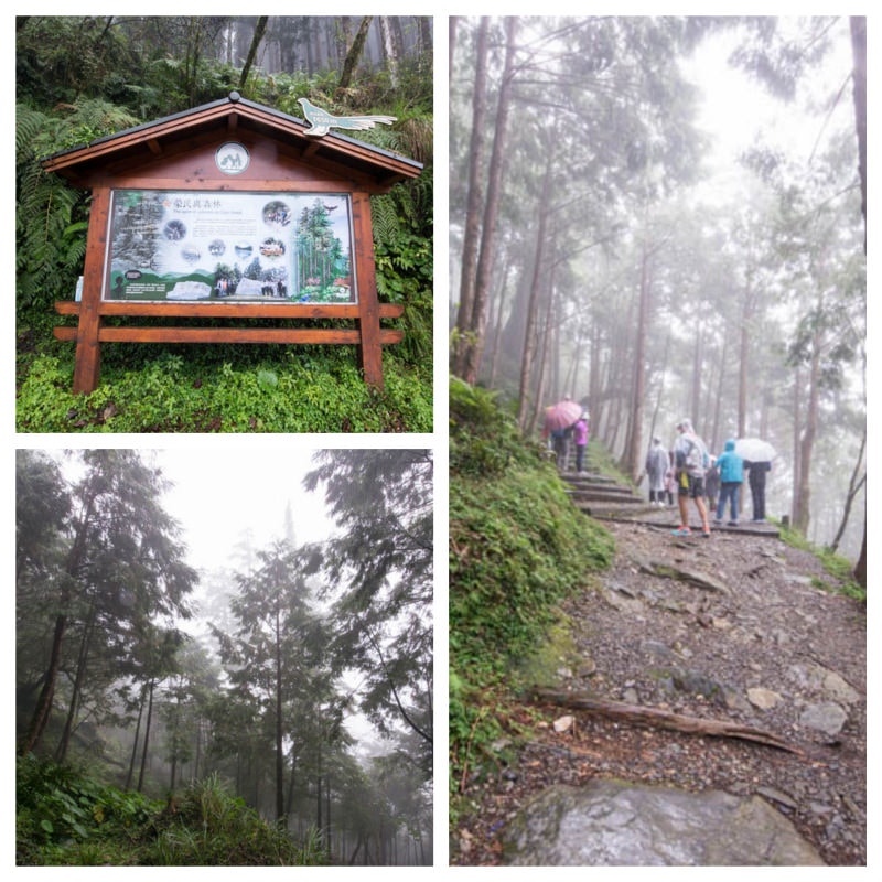 DSC_5729_Fotor_Collage.jpg