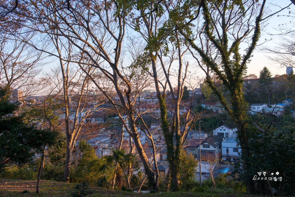 dsc_0415_1-2