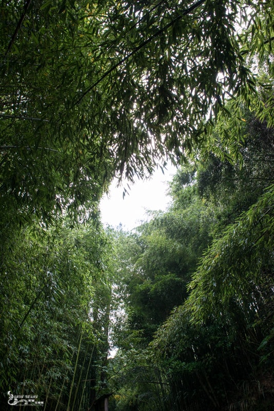DSC_7555.jpg