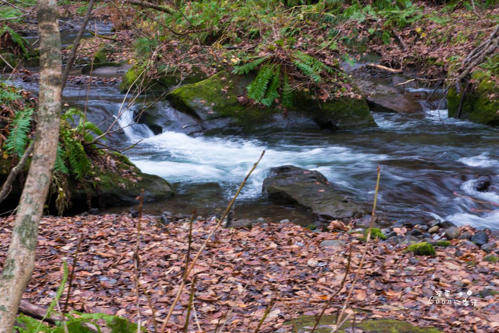 dsc_0415_1-18