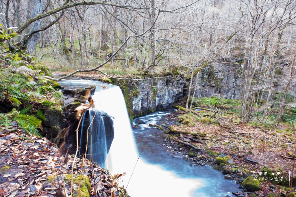 dsc_0415_1-2