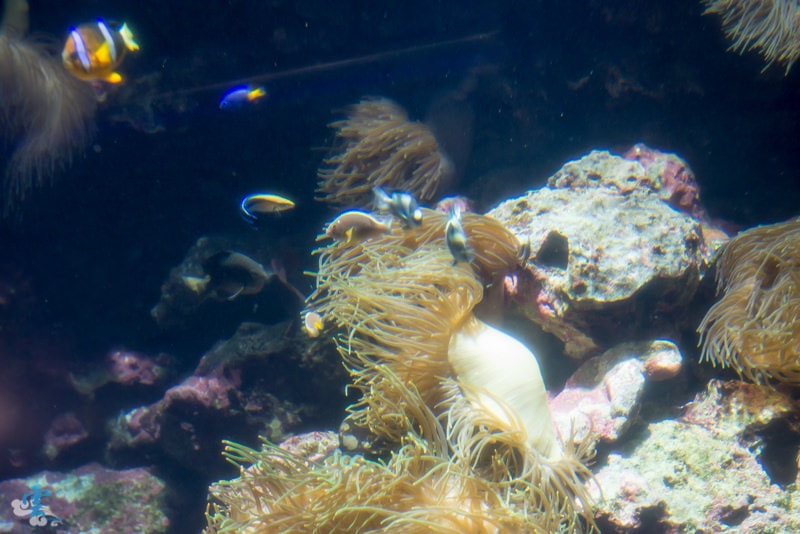 DSC_8264.jpg