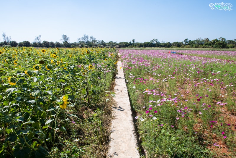 DSC_9410.jpg