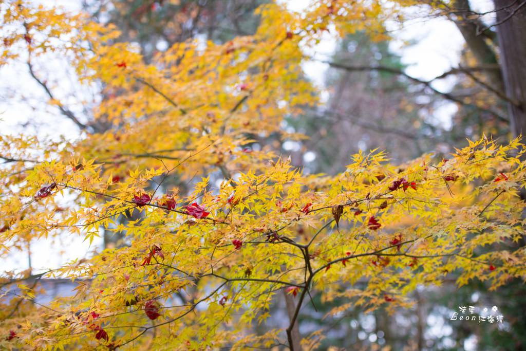 dsc_0415_1-83