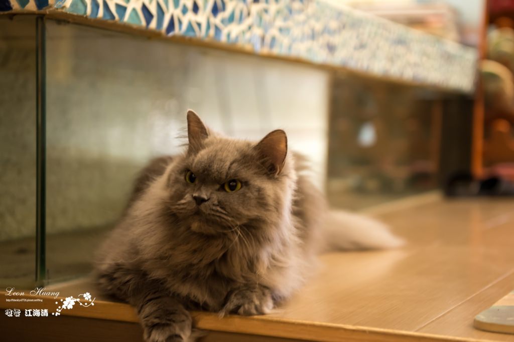 DSC_8330.jpg