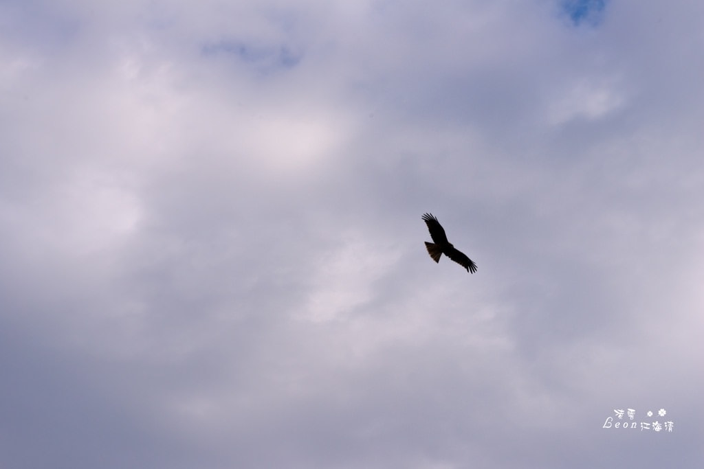 dsc_0415_1-59