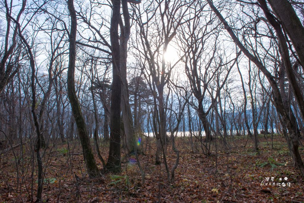 dsc_0415_1-15