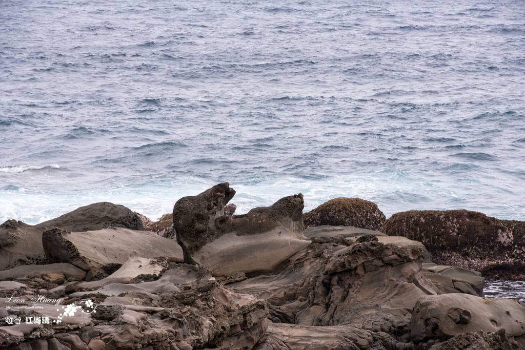 dsc_0415_1-17