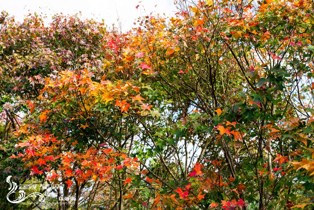 DSC_2056.jpg