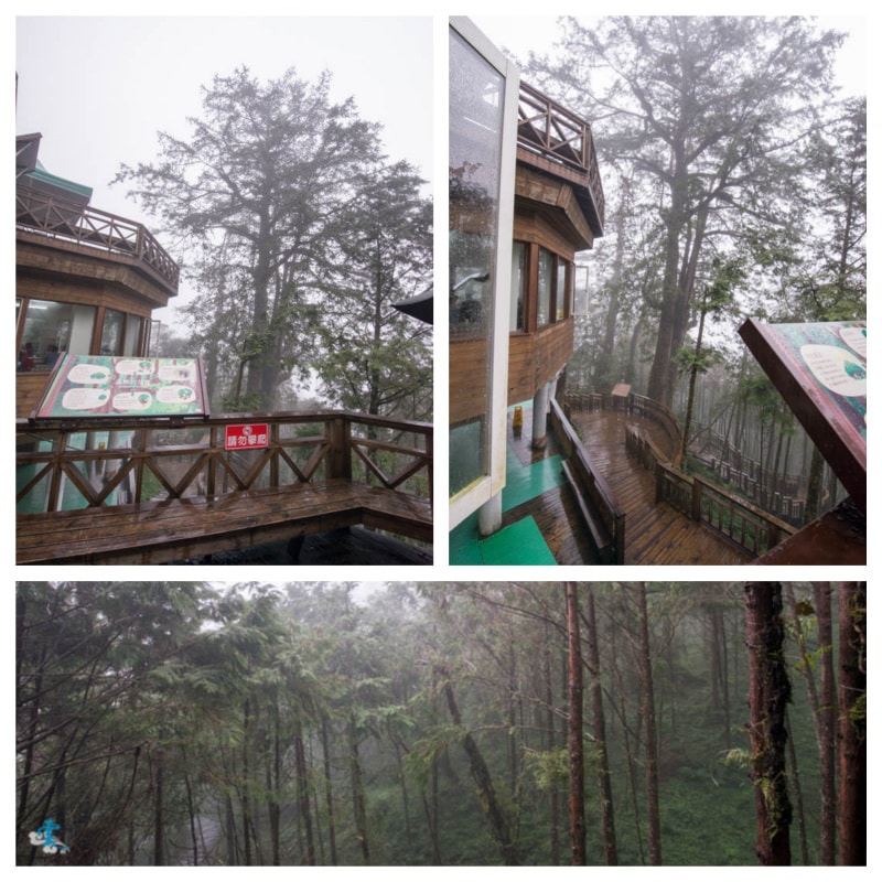 DSC_5868_Fotor_Collage.jpg