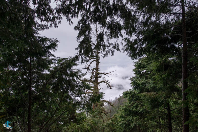 DSC_5755.jpg