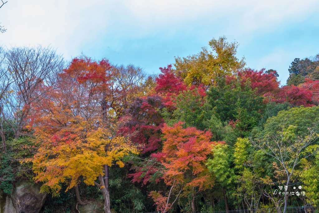 dsc_0415_1-56