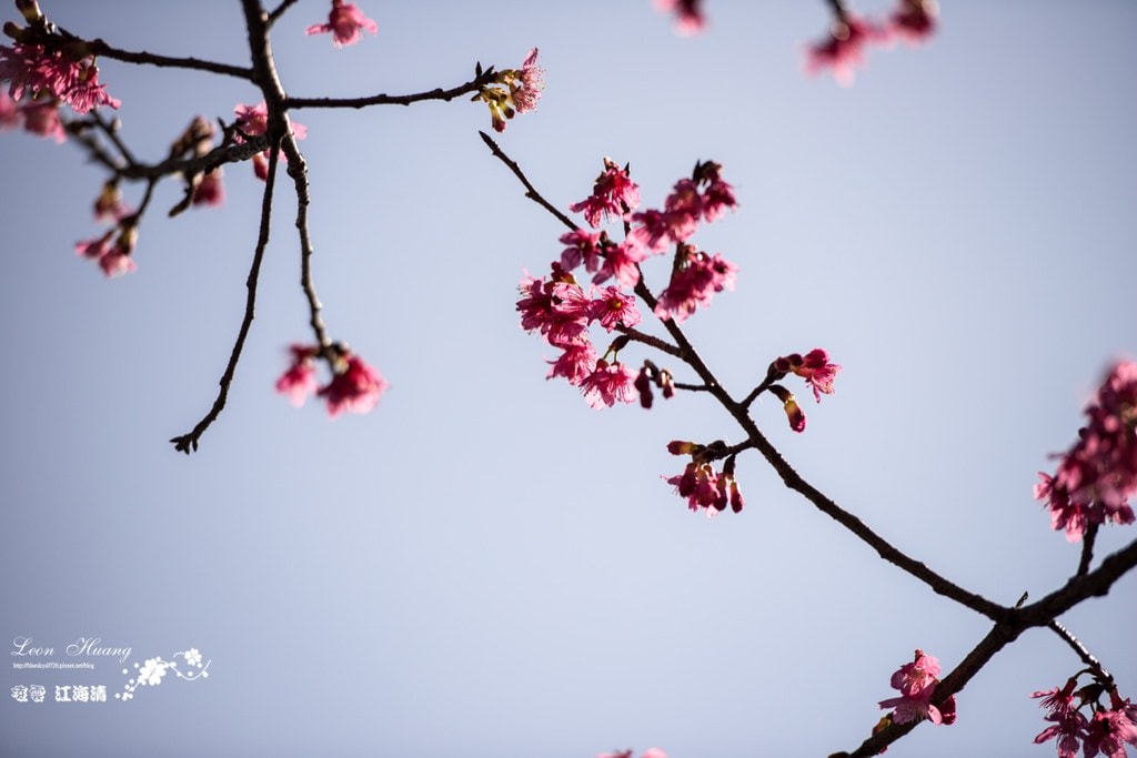 dsc_0415_1-4-2