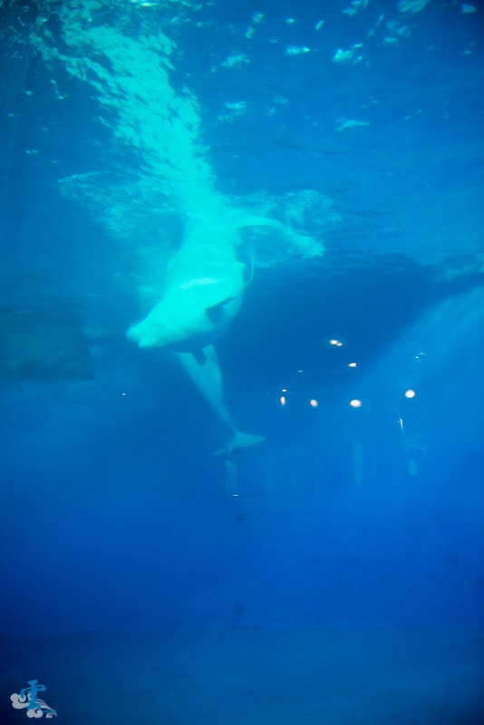 DSC_8289.jpg