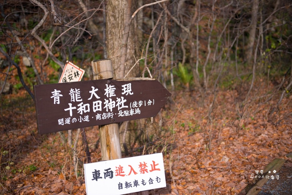 dsc_0415_1-13