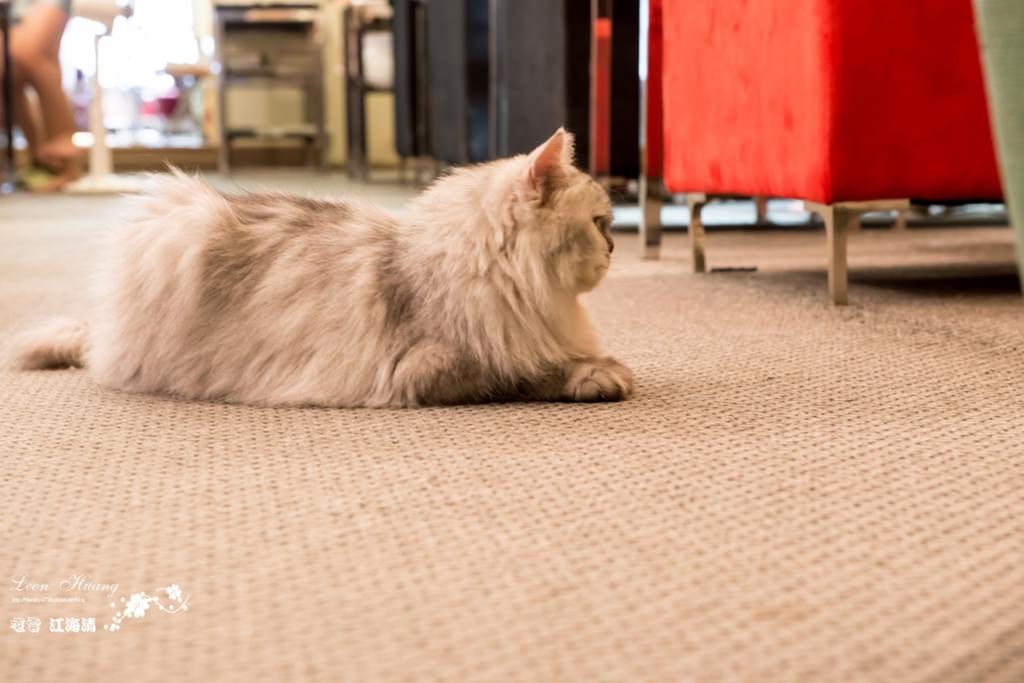 DSC_8271.jpg