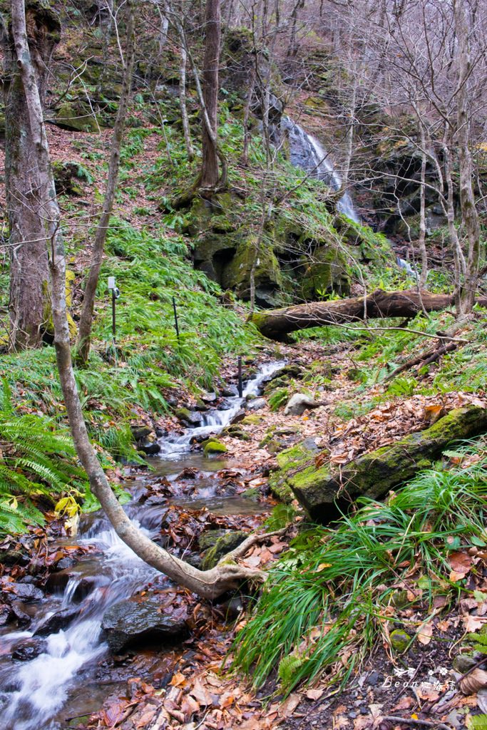 dsc_0415_1-11