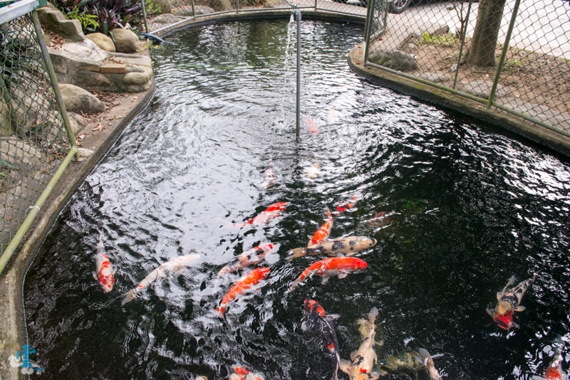 DSC_8672.jpg