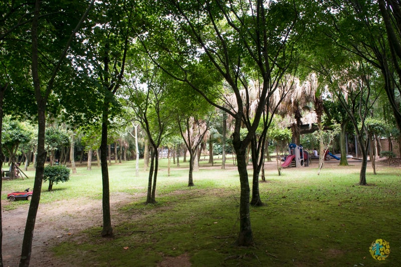 DSC_4884.jpg