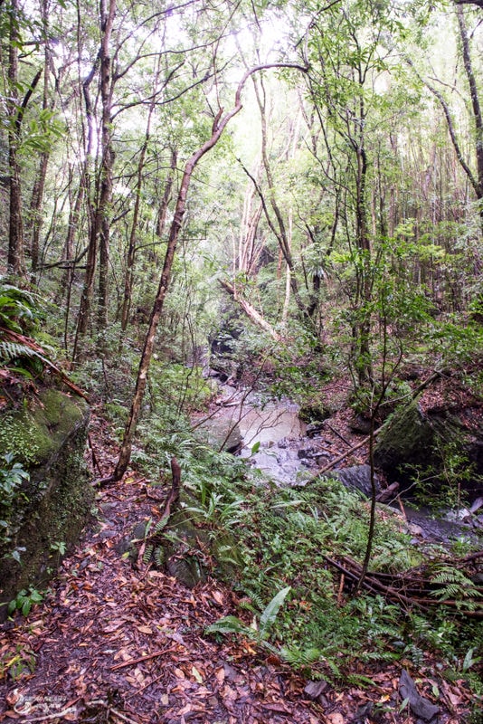 DSC_7586.jpg
