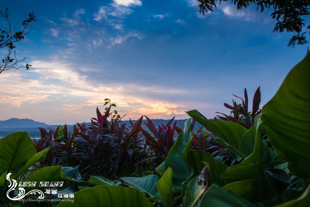 DSC_0648.jpg