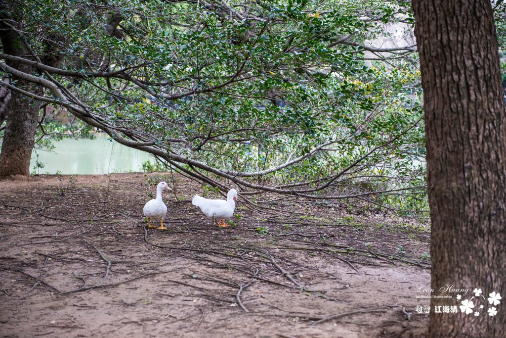 dsc_0415_1-28