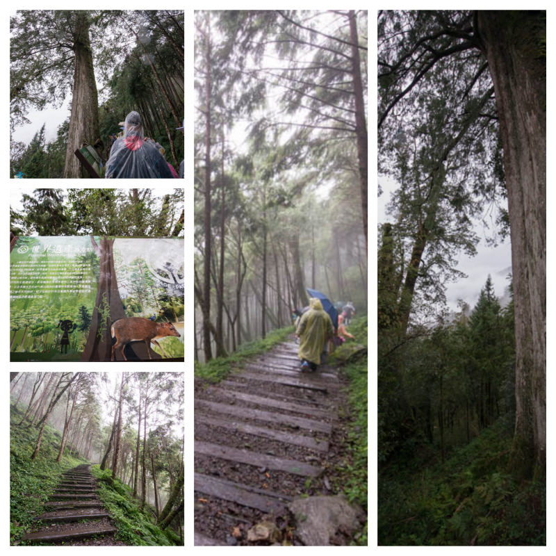 DSC_5732_Fotor_Collage.jpg