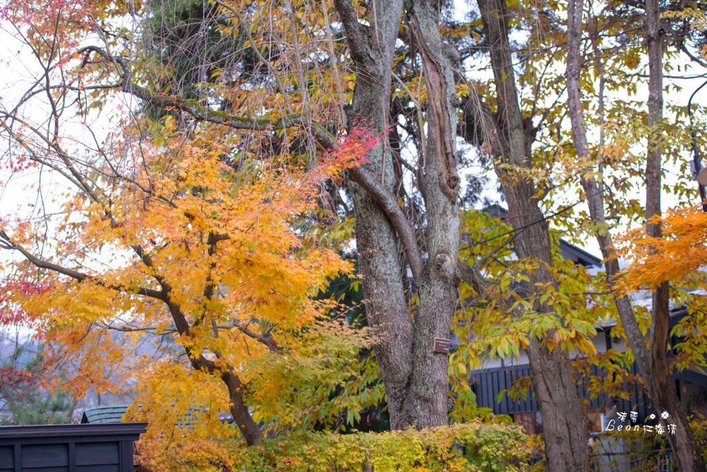 dsc_0415_1-87