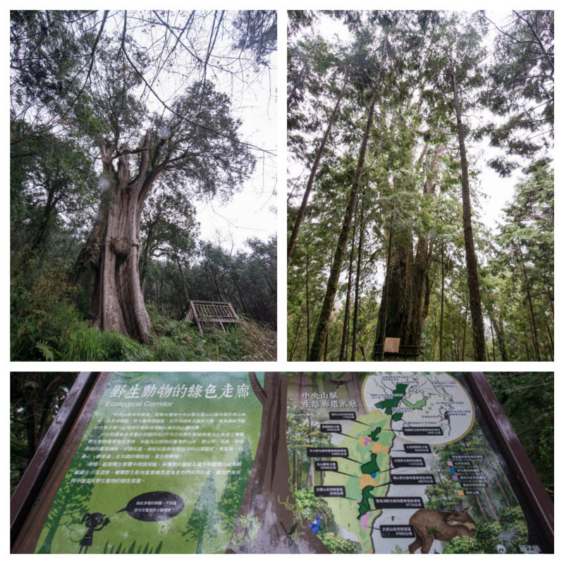 DSC_5767_Fotor_Collage.jpg