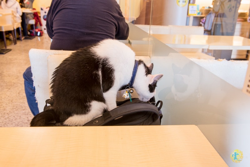 DSC_1494.jpg