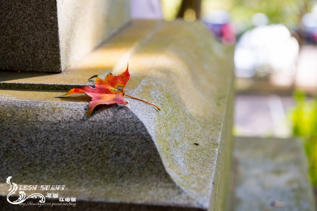 DSC_2023.jpg