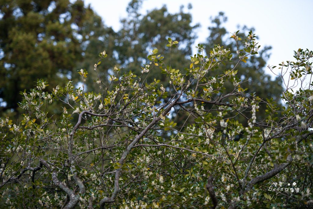 dsc_0415_1-56