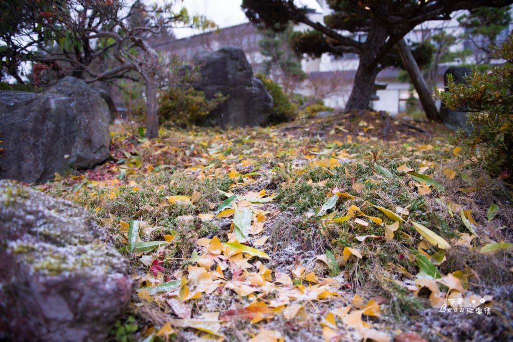 dsc_0415_1-25