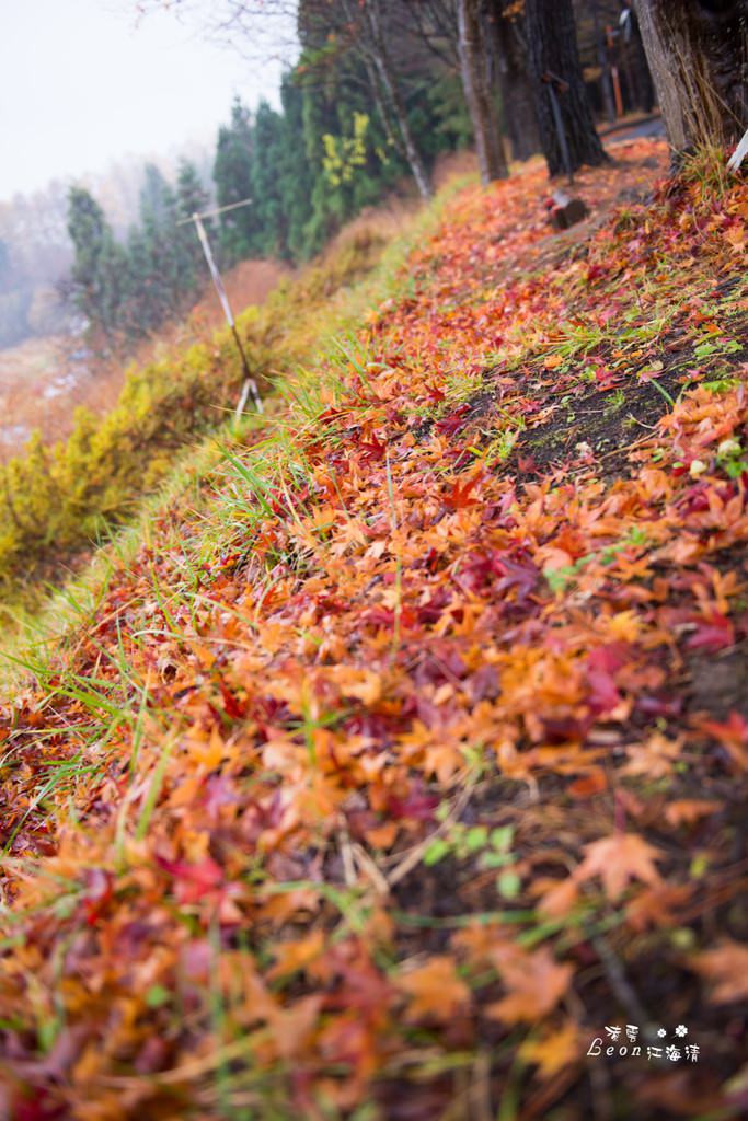 dsc_0415_1-26