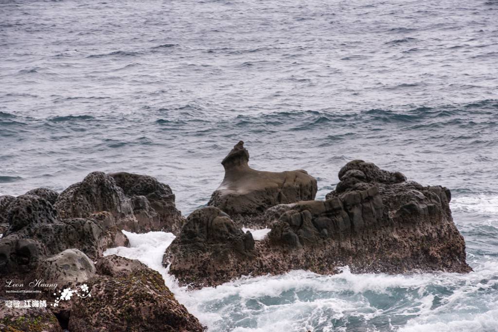 dsc_0415_1-29