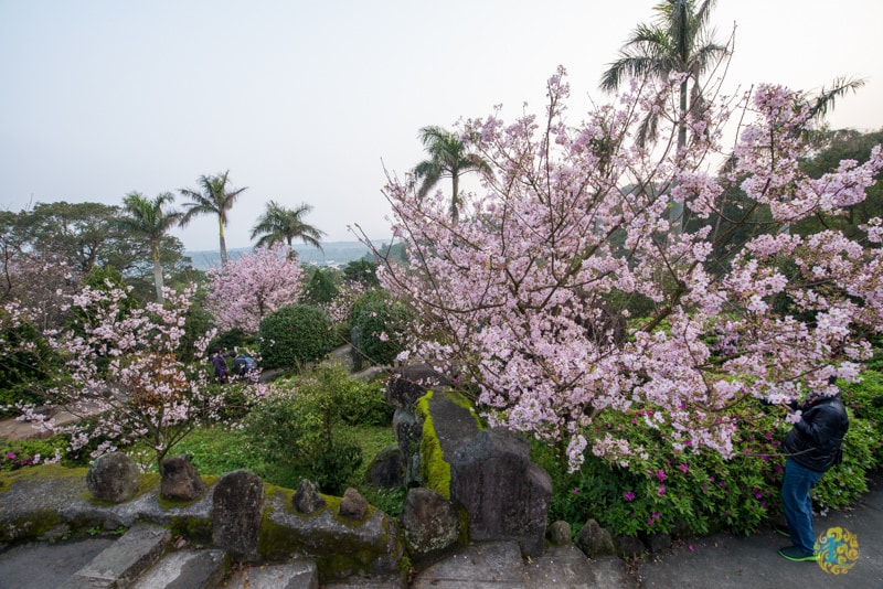 DSC_2380.jpg