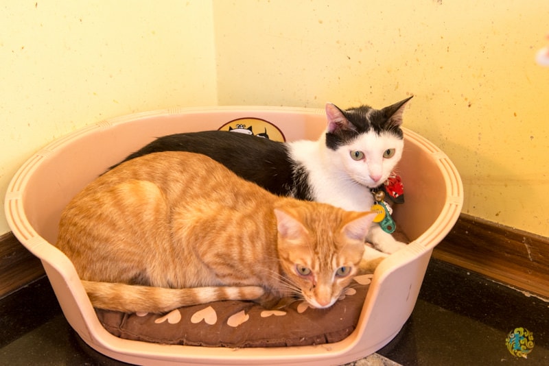 DSC_1577.jpg