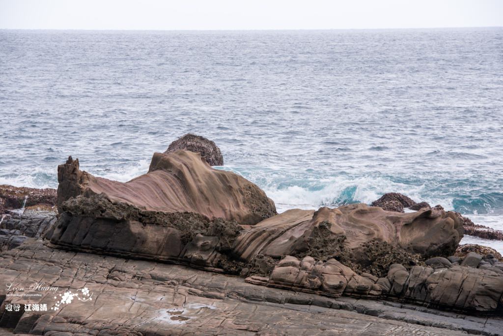 dsc_0415_1-6