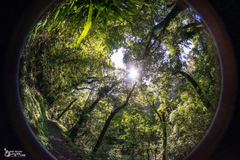 DSC_7807