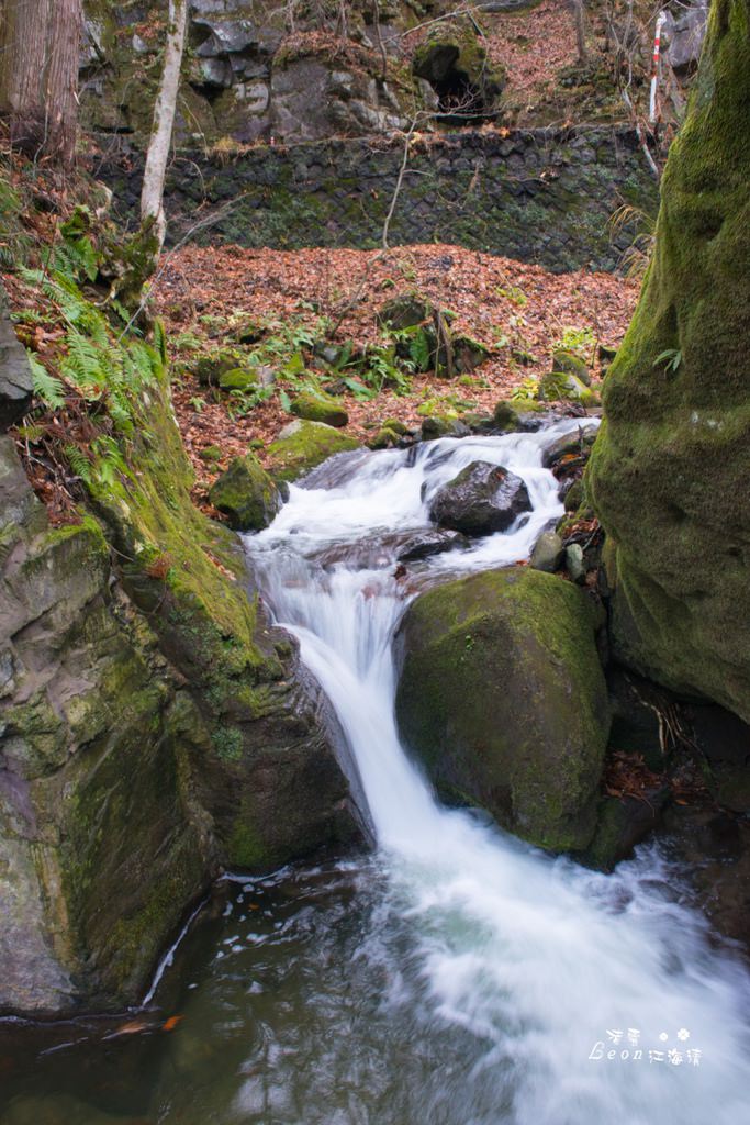 dsc_0415_1-3