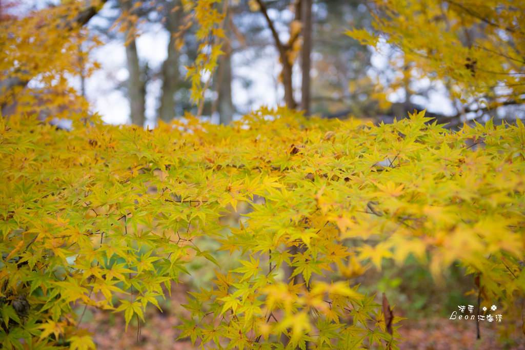 dsc_0415_1-59