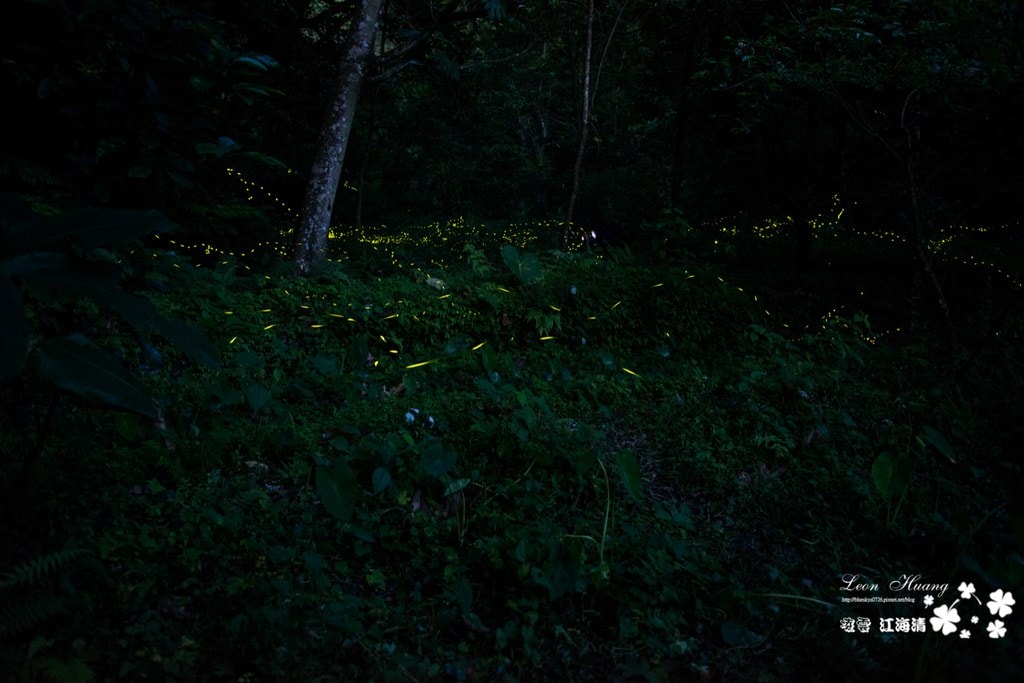 1dsc_0415_1-2