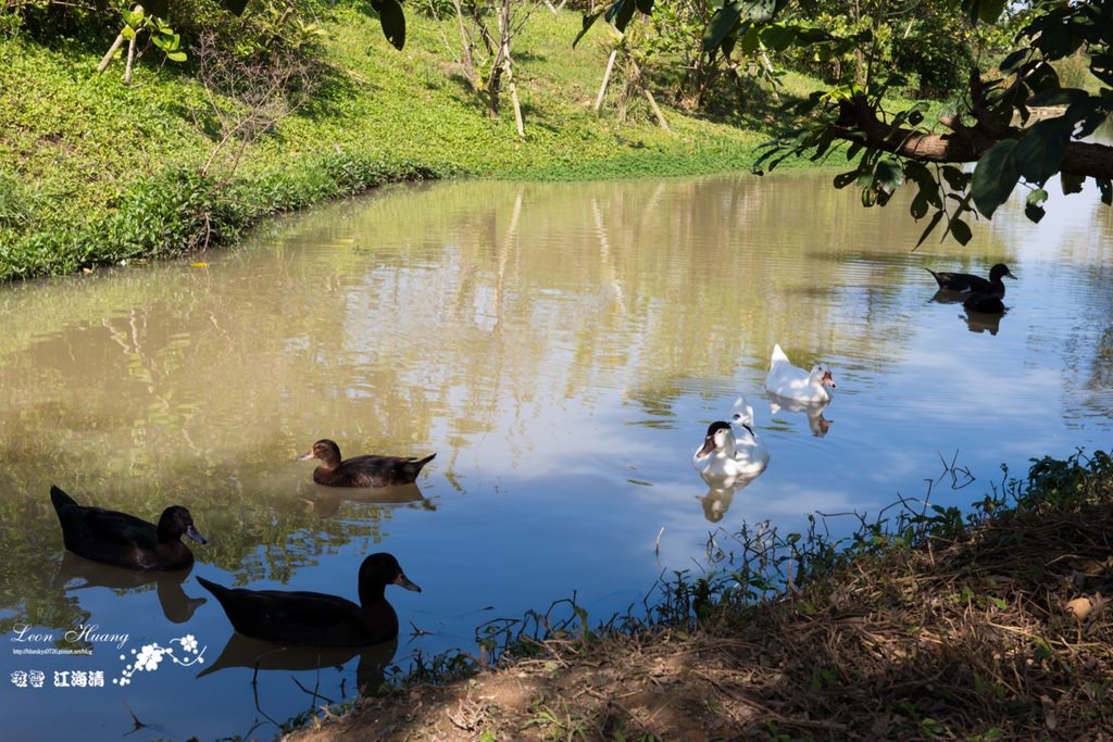 dsc_0415_1-44